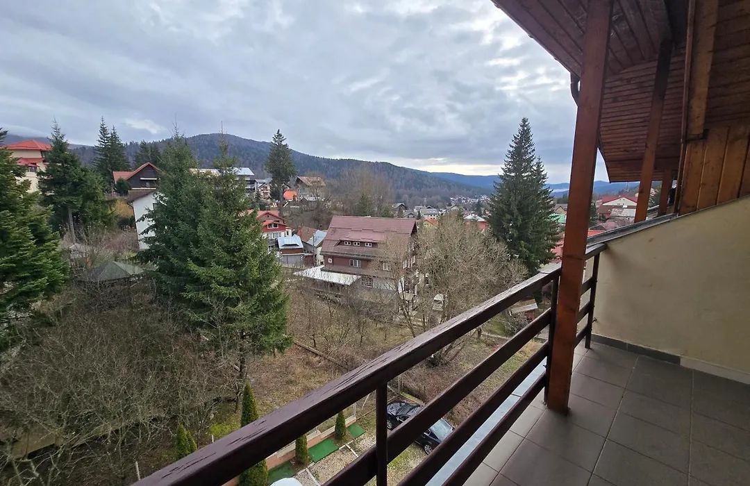 Pensiunea Valea Alba-1