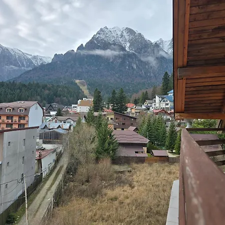 Pensiunea Valea Alba-3