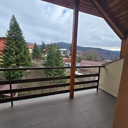 Pensiunea Valea Alba-2